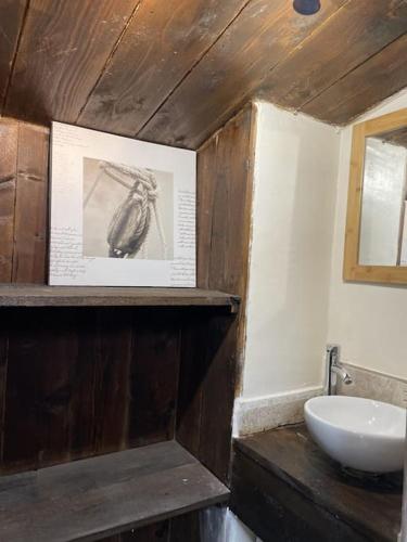 La salle de bains est pourvue d'un lavabo et d'une photo d'un oiseau. dans l'établissement Maison individuelle, La Miloune, à Le Val