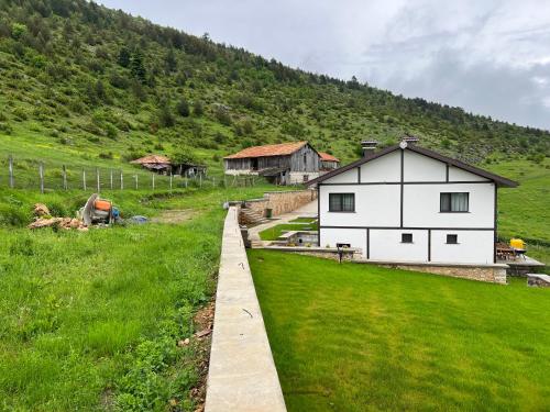 a white house in a green field next to a hill at Вила ИГЛИКА in Yagodina