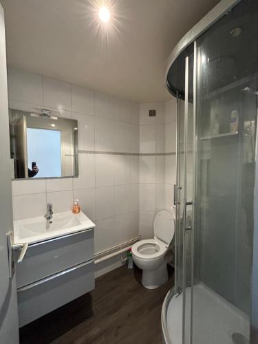 une salle de bain avec toilettes, lavabo et douche dans l'établissement Le Poincaré, à 1 min de la gare, à Nancy