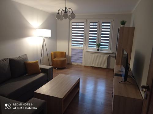 Apartament na parterze في ستالوفا فولا: غرفة معيشة مع أريكة وطاولة قهوة
