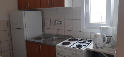 a kitchen with a white stove top oven next to a sink at Apartments Vila Zagorje in Stinica