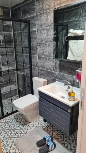 uma casa de banho com um lavatório, um WC e um espelho. em Peri suit evleri em Tunceli