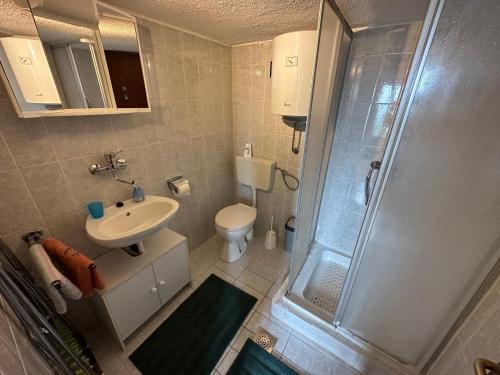 a bathroom with a shower and a toilet and a sink at Prizna Apartments in Prizna