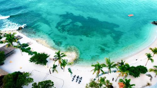 an overhead view of a beach with palm trees and the ocean at The Aerial, BVI in Tortola Island