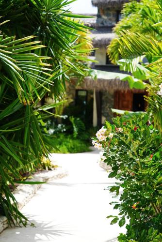 a garden path with plants and a building in the background at The Aerial, BVI in Tortola Island