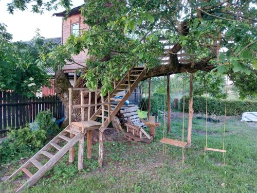 a tree house with a swing in a tree at Agroturystyka Cisza Knyszyńska in Wólka