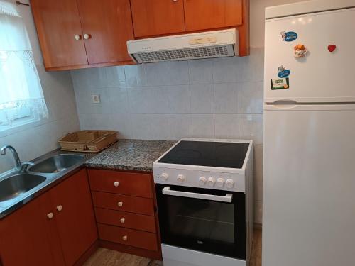 A kitchen or kitchenette at Vassia&Manolis