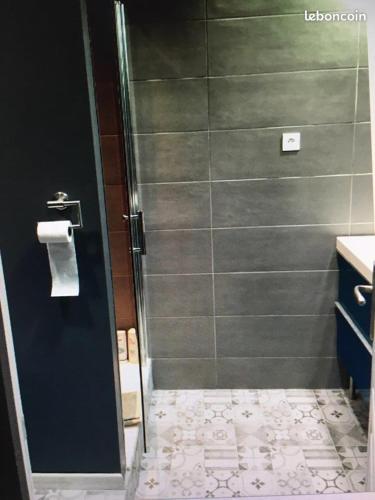 La salle de bains est pourvue d'une douche et d'un distributeur de papier toilette. dans l'établissement Front de mer cap d'agde, au Cap d'Agde
