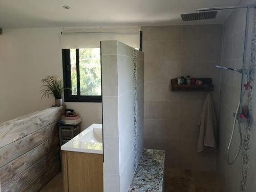 une salle de bain avec un lavabo et une douche dans l'établissement Magnifique villa Antibes, à Antibes