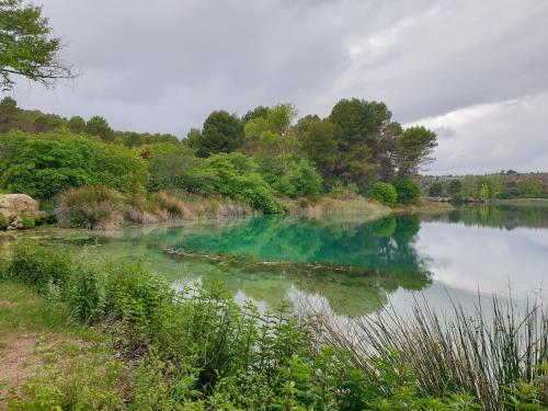 a river with blue water and trees in the background at La Caseja Rural in Ossa de Montiel