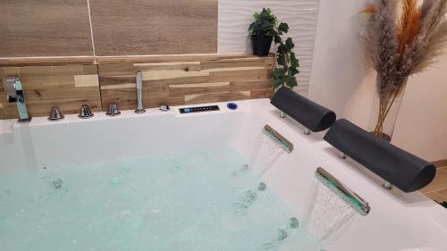 eine Whirlpool-Badewanne mit zwei WCs in einem Zimmer in der Unterkunft Grand Studio magnifique avec Spa privatif illimité in La Bassée