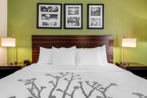 a bedroom with a large bed with two lamps at Sleep Inn Naperville - Chicago in Naperville