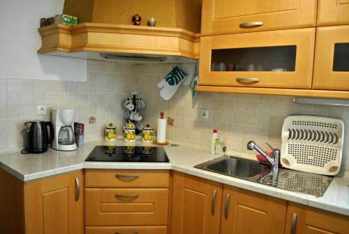 - une cuisine avec des placards en bois, un évier et une cuisinière dans l'établissement Riverside Village Apartment, à Bohinj