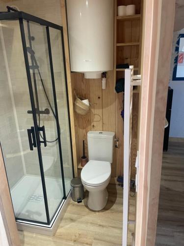 a bathroom with a toilet and a shower at Agréable Loft proche océan classé 1 étoile Refait à neuf in Biscarrosse-Plage