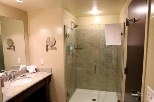 a bathroom with a shower and a sink at The Hotel at Black Oak Casino Resort in Tuolumne