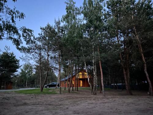 a cabin in the woods with a lot of trees at U Progu Lasu in Budy
