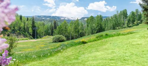 a green hill with trees and a field with flowers at Laurelwood Condominiums 405 in Snowmass Village