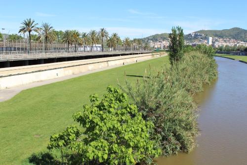 a body of water with palm trees and a river at Apartamento 15' Barcelona centro in Santa Coloma de Gramanet