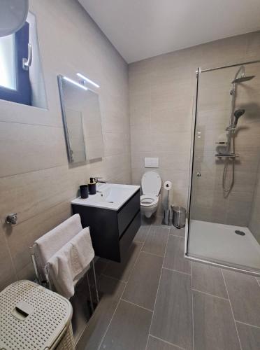 a bathroom with a toilet and a sink and a shower at Villa Leptirić in Vir