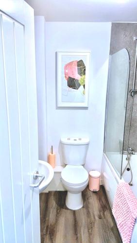 a bathroom with a white toilet and a shower at COSY DOUBLE ROOM in Manchester