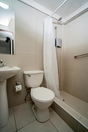 a bathroom with a toilet and a shower and a sink at Cabañas Uma Qala de Primeras Piedras in Iquique