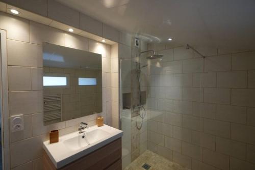 une salle de bain avec un lavabo et une douche avec un miroir dans l'établissement Appartement à la campagne, proche mer, à Hyères