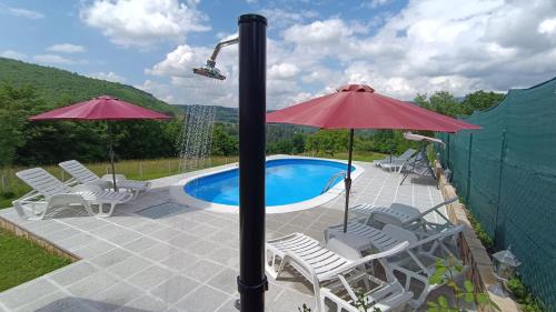 Green Oasis Apartment