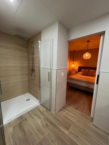 a bathroom with a shower and a bed at Casal de pelaio in Barreiros