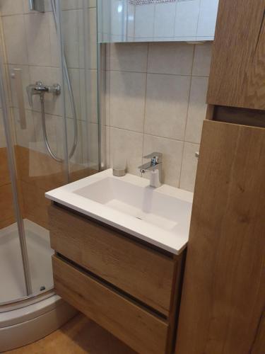 a bathroom with a sink and a shower at Apartman Morena in Vlašići