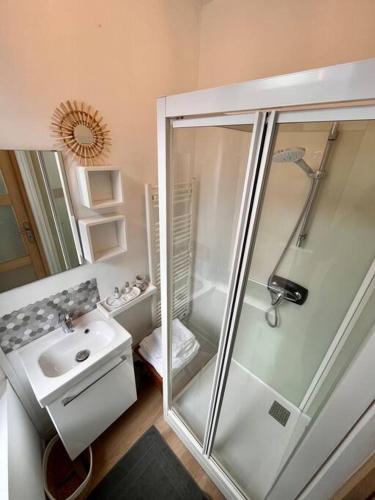 une salle de bain avec douche et lavabo dans l'établissement North cosy house - Douai Centre, à Douai