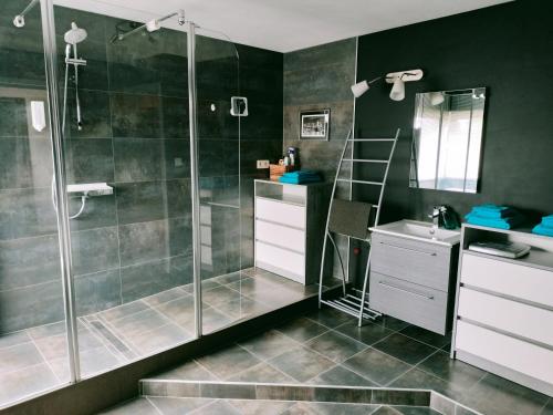 a bathroom with a shower and a sink at In Het Spoor Van De Vos in Zutendaal