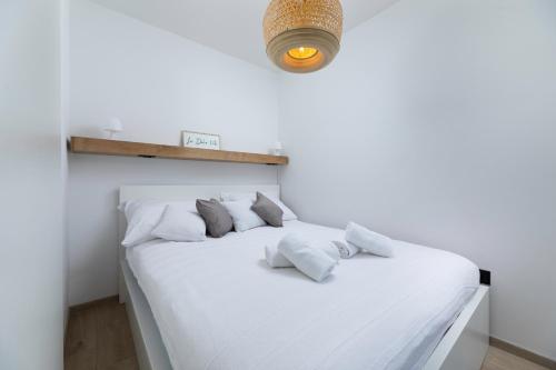 Areca Luxury Studio