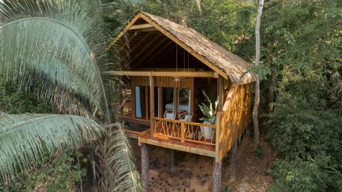 a small house in the middle of a forest at Sweet Songs Jungle Lodge in San Ignacio