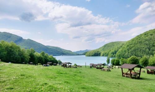 a grassy field with a lake in the background at Poiana Sașilor - Valea Doftanei in Trăisteni