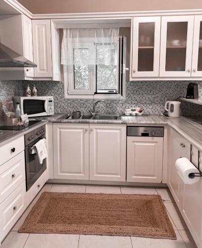 Kaloudis Studios & Apartmentsにあるキッチンまたは簡易キッチン