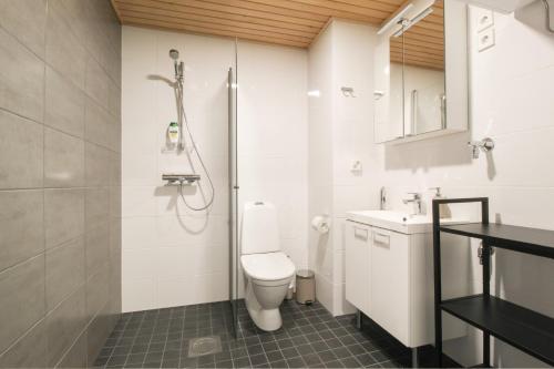 a bathroom with a shower and a toilet and a sink at Pramea Apartments Tornitupa in Kuopio
