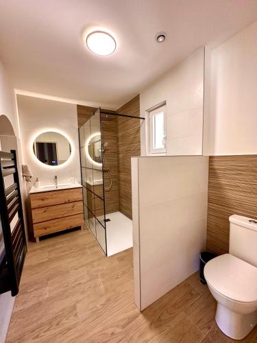 une salle de bain avec toilettes, douche et lavabo dans l'établissement Maison de charme avec Jacuzzi, à Mollégès