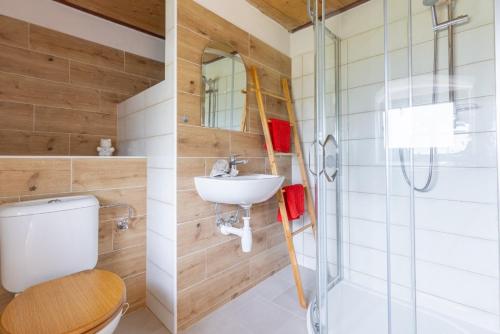 ein Bad mit einem WC, einem Waschbecken und einer Dusche in der Unterkunft Chalupa na Šumavě in Malšín