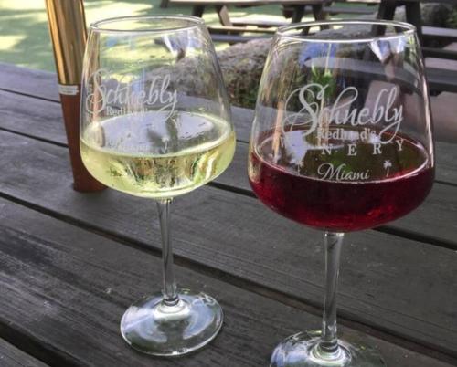 - deux verres de vin assis sur une table en bois dans l'établissement Insta Worthy Oasis, à Homestead