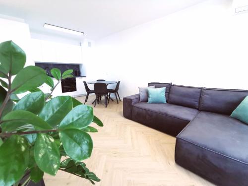 ein Wohnzimmer mit einem schwarzen Sofa und einem Tisch in der Unterkunft Plażowa Park Apartamenty in Międzywodzie