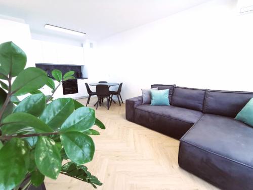 a living room with a black couch and a table at Plażowa Park Apartamenty in Międzywodzie