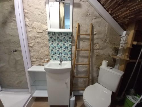 een badkamer met een toilet, een wastafel en een spiegel bij Gîte de la Poterie "vue sur Loire" in Mosnes