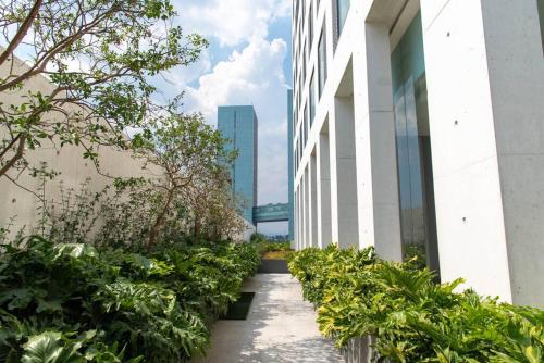 a walkway between two buildings with plants at Exclusivo departamento en cdmx in Mexico City