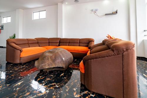 a living room with a couch and a turtle on the floor at Patty House Galapagos in Puerto Ayora