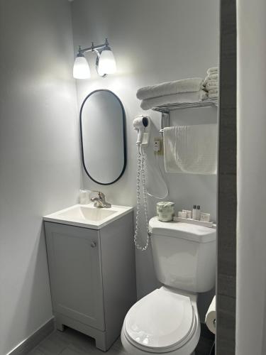 een badkamer met een toilet, een wastafel en een spiegel bij Blue Spruce Inn & Townhouses in Plymouth