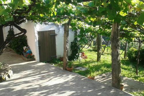 a cat sitting in front of a house with trees at A Barraca. Casa con jardín y vistas a la ría in Bueu