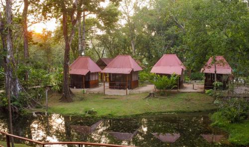 a group of huts in a forest next to a pond at Cabañas Kin Balam Palenque in Palenque