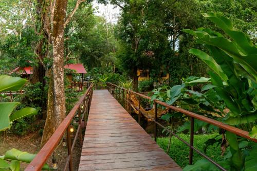 a wooden bridge in the middle of a forest at Cabañas Kin Balam Palenque in Palenque