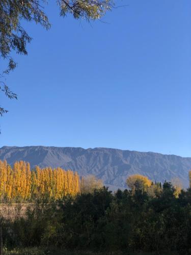 Los Horneros – Photos 2