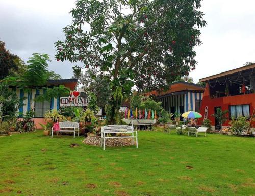 a park with chairs and a tree in the grass at EDMUND's GARDEN INN in Siquijor